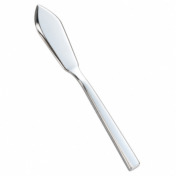 A polished silver metal butter knife with a long, straight handle and a wide, slightly curved blade, shown diagonally on a plain white background.
